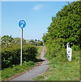 SU5893 : Old Road Cycleway by Des Blenkinsopp