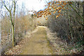 Path, Great Wood, Stanmer Park