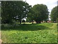 Halliford Park and homes on the main road beside