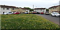 Dandelions, grass, cars and houses, Huxley Green, Newport