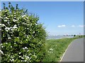 The Thames Path at Thamesmead