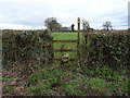 Footpath on Butt Lane