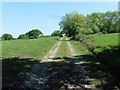 Bridleway to Whitevine Farm