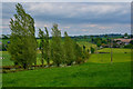 Morchard Bishop : Grassy Field