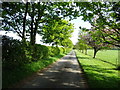 Track to Wold Newton Grange