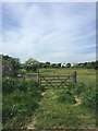 Looking westward the southern paddocks of the Sunbury horse field