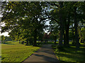 Path into Beckett Park