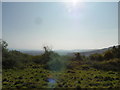 Looking over towards Buriton and Petersfield from Butset Hill