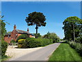 Breach Farm Cottage, Horpit