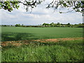 Barnby in the Willows seen from Long Lane