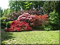 Highgate : Athlone House Gardens