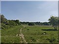 Warren Farm Nature Reserve