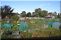 Allotments