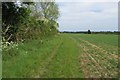 Bridleway towards Tythe Farm