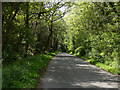 Ulverscroft Lane in Blakeshay Wood