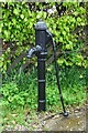 Village pump. Bewholme 