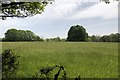 Fields near Ruckford Mill