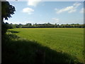 View towards The Treacle Mine roundabout