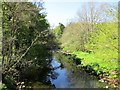 River Nethan at Corramill