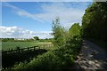 A64 bridge