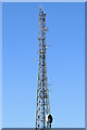 SO9294 : Mobile phone mast (detail) on Beacon Hill, Sedgley by Roger  D Kidd