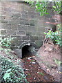 The Marlbrook as it leaves the bridge over the A38