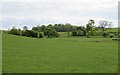 View towards Ten Acre Plantation