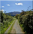 View SW along the ascending Tipperary Lane