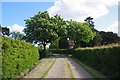 TL5704 : Chestnut Blossom in Norton Manderville by Glyn Baker