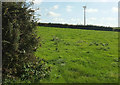 Wind turbine near Coyton