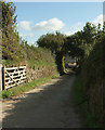 Farm lane to Coyton