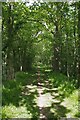 Byway Near Gunnets Green