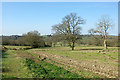 Fields by footpath to Lindfield