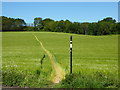 Footpath from Faversham Road, Syndale Bottom