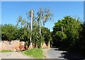 Grade II listed garden wall, Water Lane, Ospringe