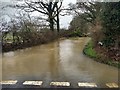 Gambles Lane after the storm