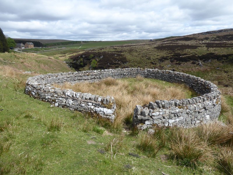 Sheepfold by Featherwood © Russel Wills :: Geograph Britain and Ireland