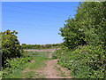 Farm track and footpath by Northway, Sedgley