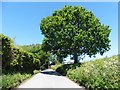 Minor road to Sticklepath