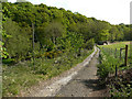 SE2309 : Footpath on track to Lower Putting Mill, Denby Dale by Humphrey Bolton