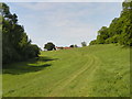 Looking up the meadow towards Homelands Farm