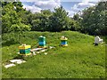 Colourful beehives below Soal Farm