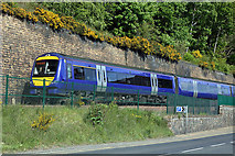 NT4936 : A train on the Borders Railway by Walter Baxter