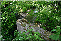 Un-named stream at Thorncombe Street