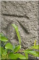 Benchmark on wall of the Castle Farm