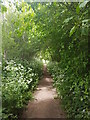 Bridleway by Holly Court Farm