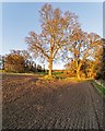 NH5849 : Field at Redcastle by valenta
