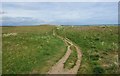 NO5000 : Fife Coastal Path by Bill Kasman