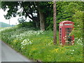 Rural telephone box in summer