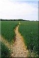 Bridleway to Hull Green